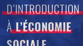Introductory Guide to Social Economy