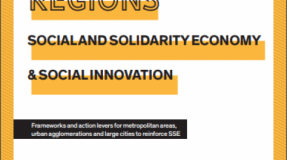 Study 'Urban Regions, Social & Solidarity Economy, and Social Innovation'