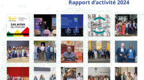 Rapport d'activité GSEF 2024